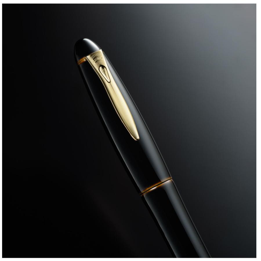 プラチナ万年筆 PLATINUM 出雲 溜塗り 枇杷溜 #30 ビワタメ 万年筆 PIZ