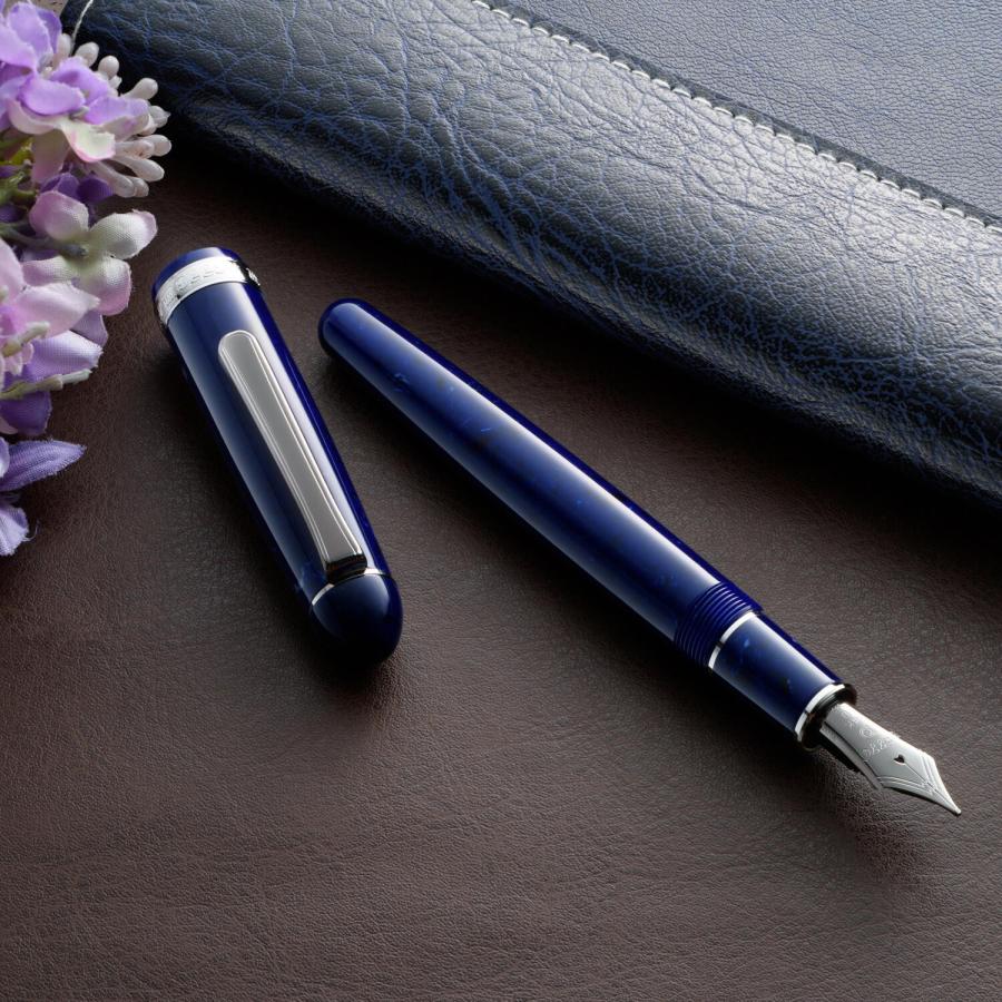 3776 センチュリー PLATINUM プラチナ万年筆 CENTURY セルロイド