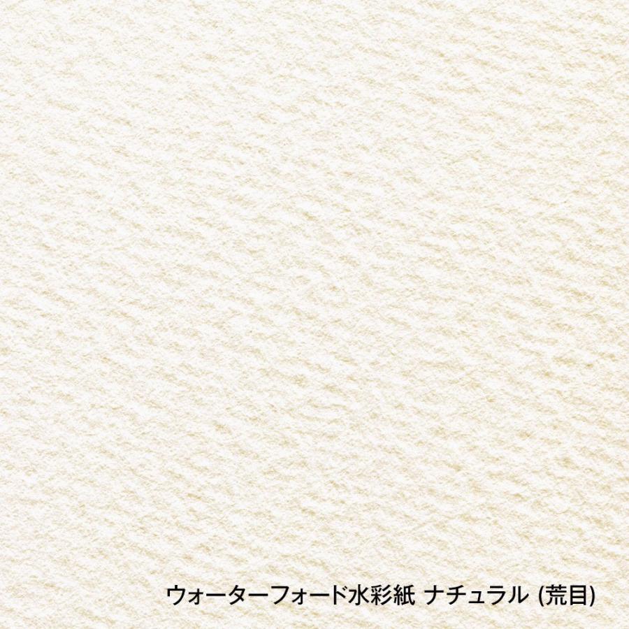 ホルベイン ウォーターフォード水彩紙 ナチュラル 中判 560×760mm 並厚口 190g 荒目 10枚セット 261501の画像