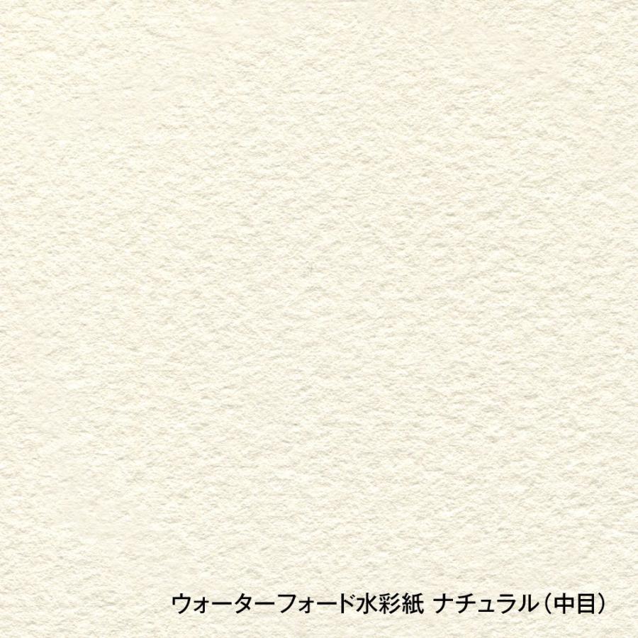 ホルベイン ウォーターフォード水彩紙 ナチュラル 中判 560×760mm 並厚口 190g 中目 10枚セット 261504の画像