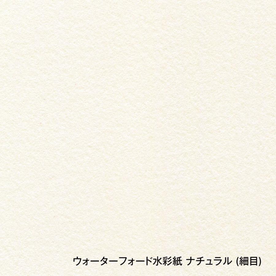 ホルベイン ウォーターフォード水彩紙 ナチュラル 中判 560×760mm 並厚口 190g 細目 10枚セット 261507の画像