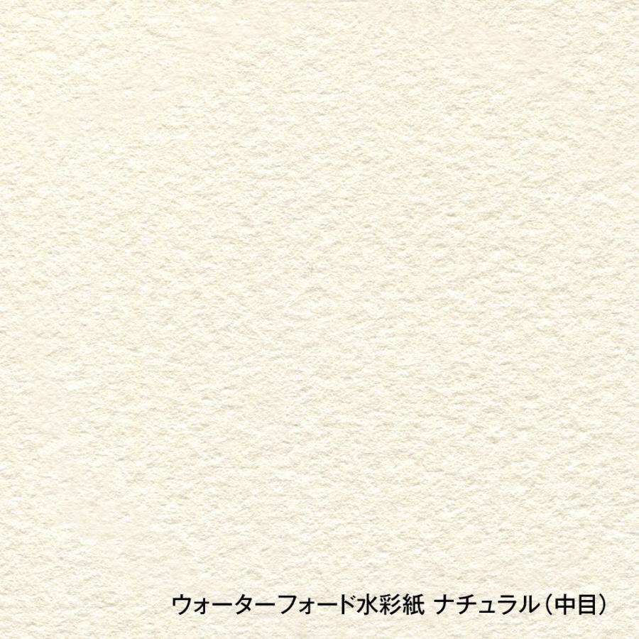 ホルベイン ウォーターフォード水彩紙 ナチュラル ロール 1524mm×10M 中厚口 300g 中目 261541｜wow｜03