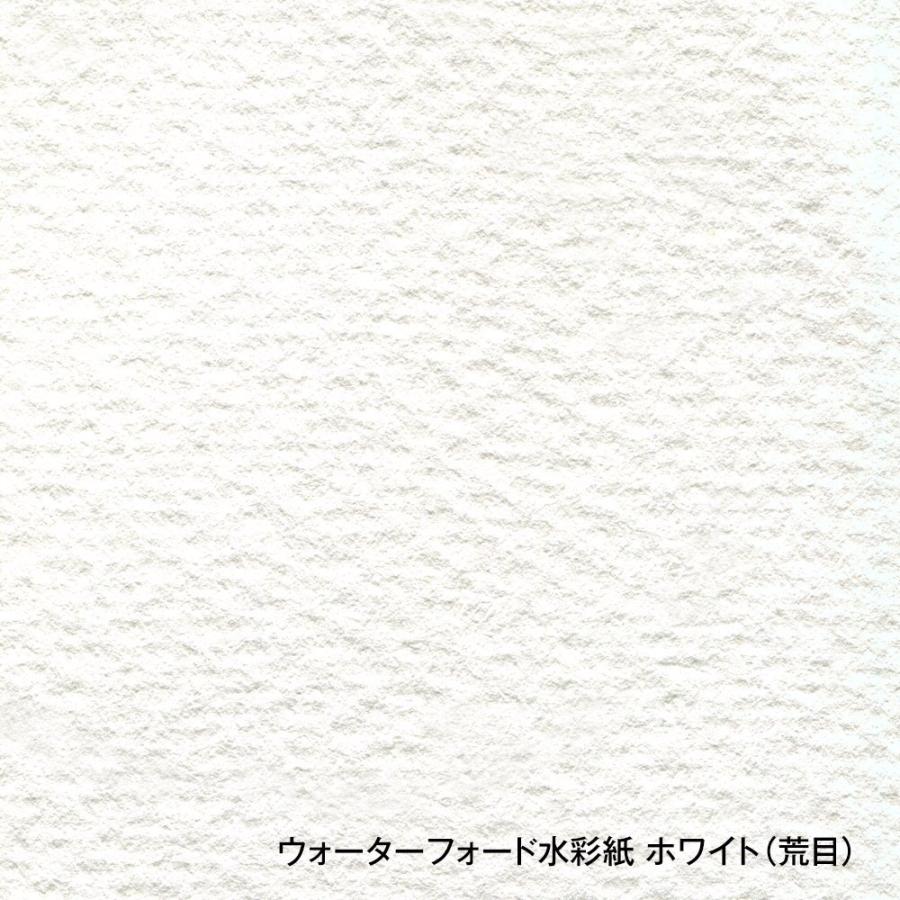 ホルベイン ウォーターフォード水彩紙 ホワイト 中判 560×760mm 並厚口 190g 荒目 10枚セット 261601の画像