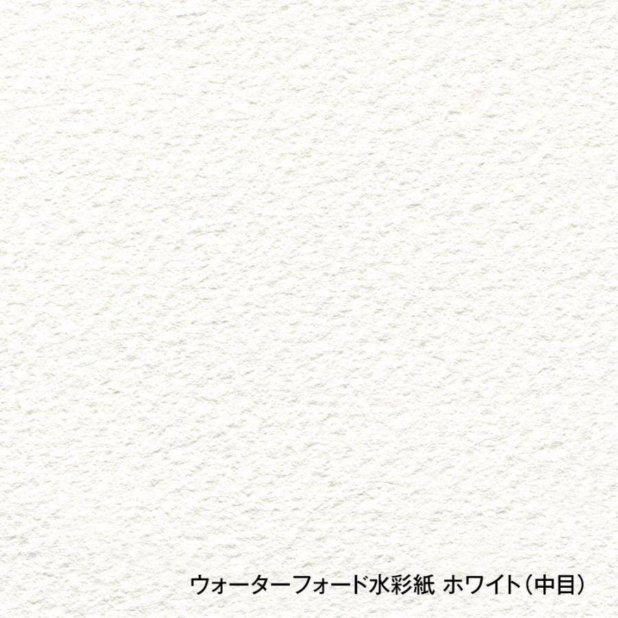 ホルベイン ウォーターフォード水彩紙 ホワイト 中判 560×760mm 並厚口 190g 中目 10枚セット 261604の画像