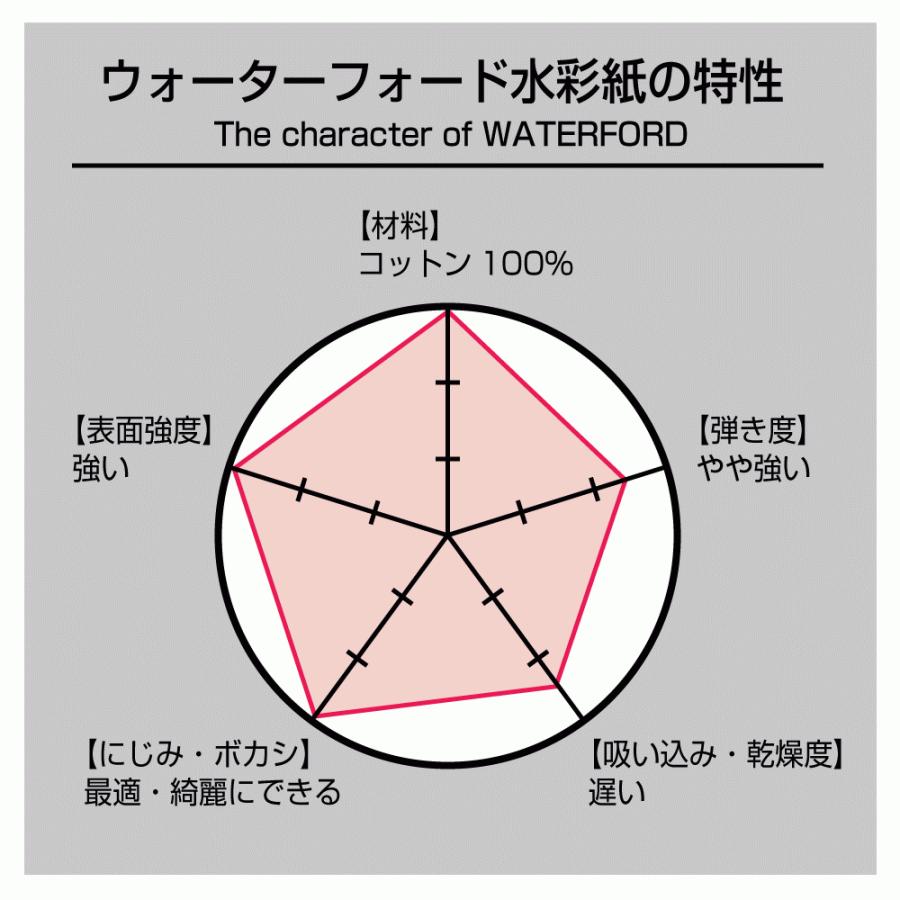 ホルベイン ウォーターフォード水彩紙 ホワイト 中判 560×760mm 並厚口 190g 細目 10枚セット 261607の画像