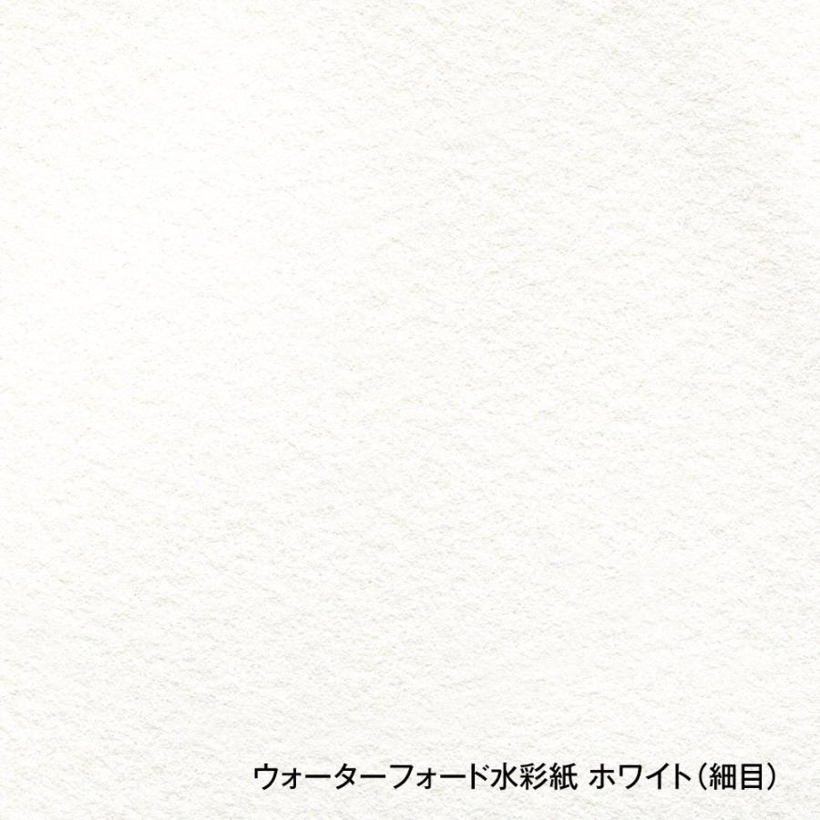 ホルベイン ウォーターフォード水彩紙 ホワイト 中判 560×760mm 並厚口 190g 細目 10枚セット 261607の画像