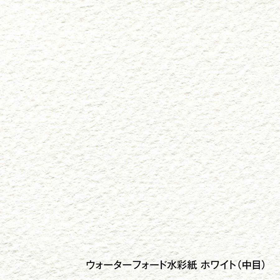 ホルベイン ウォーターフォード水彩紙 ホワイト 中判 560×760mm 中厚口 300g 中目 10枚セット 261614