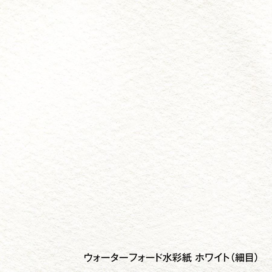 ホルベイン ウォーターフォード水彩紙 ホワイト 中判 560×760mm 中厚口 300g 細目 10枚セット 261617