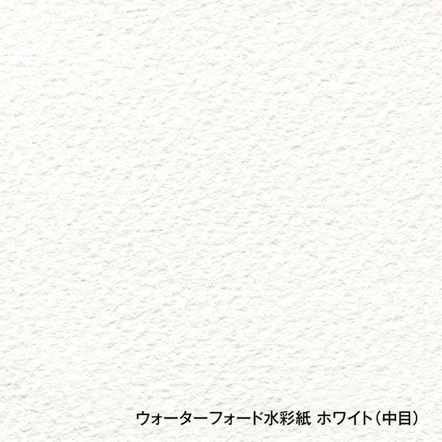 ホルベイン ウォーターフォード 水彩紙 ホワイト ブロック 300g 中目 EHB-F3 270932 3冊入_2