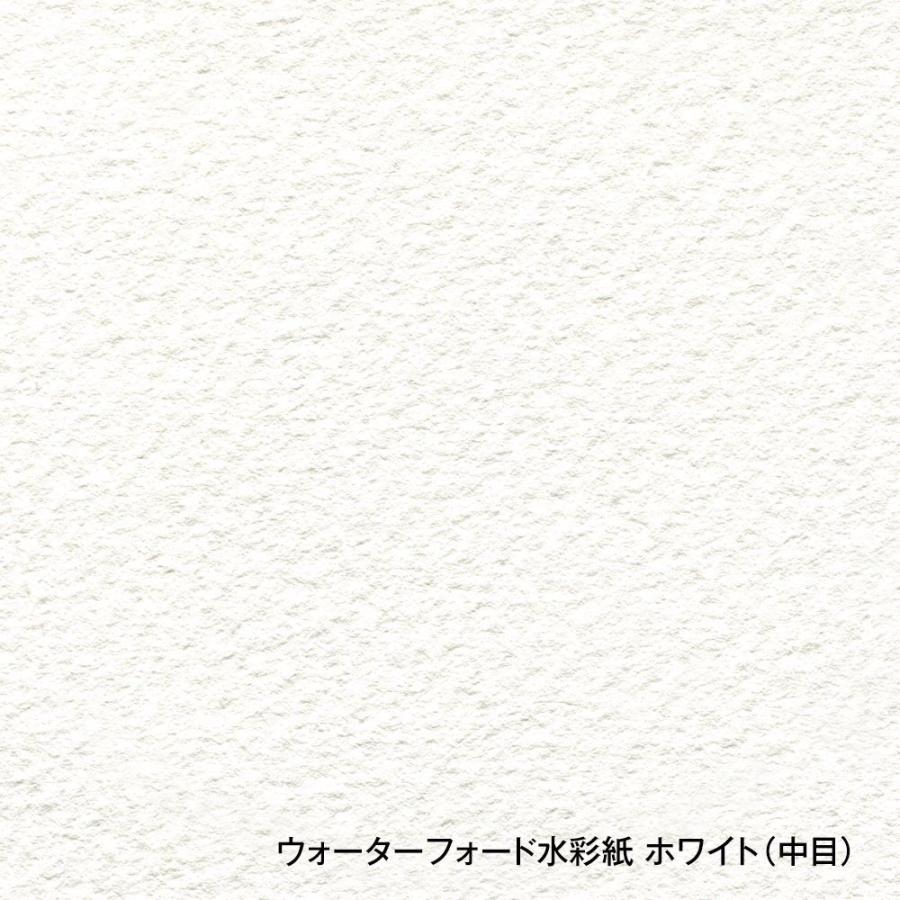 ホルベイン ウォーターフォード水彩紙 EHB-F8 ホワイト 中目 300g ホルベイン ウォーターフォード 水彩紙 ホワイト ブロック 300g 中目