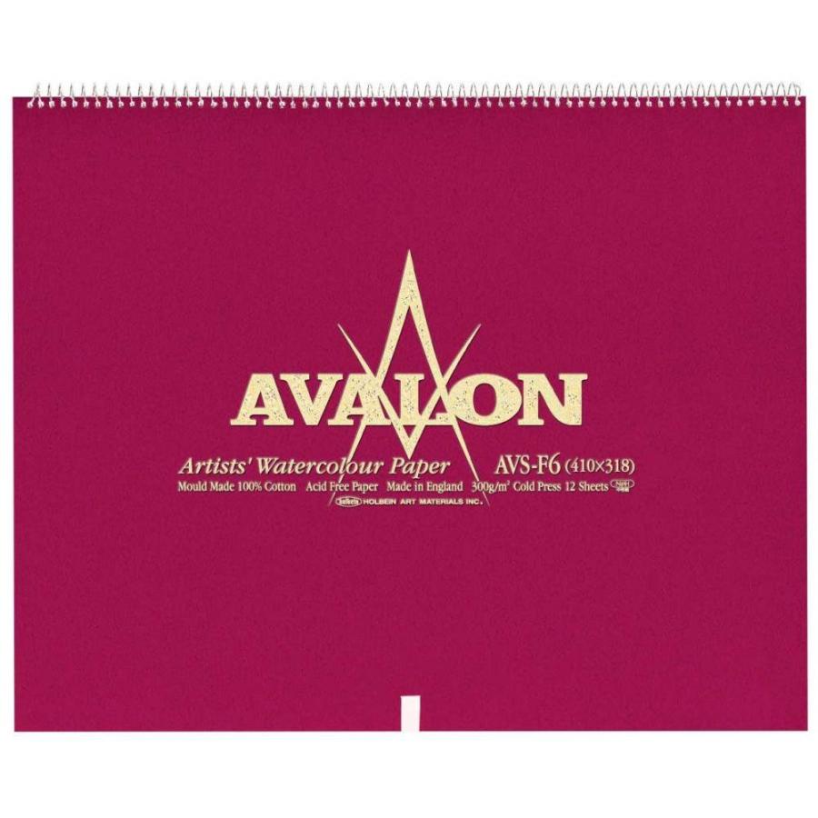 ホルベイン アヴァロン水彩紙 スプリング 300g 中目 AVS-F3 271122 3冊入
