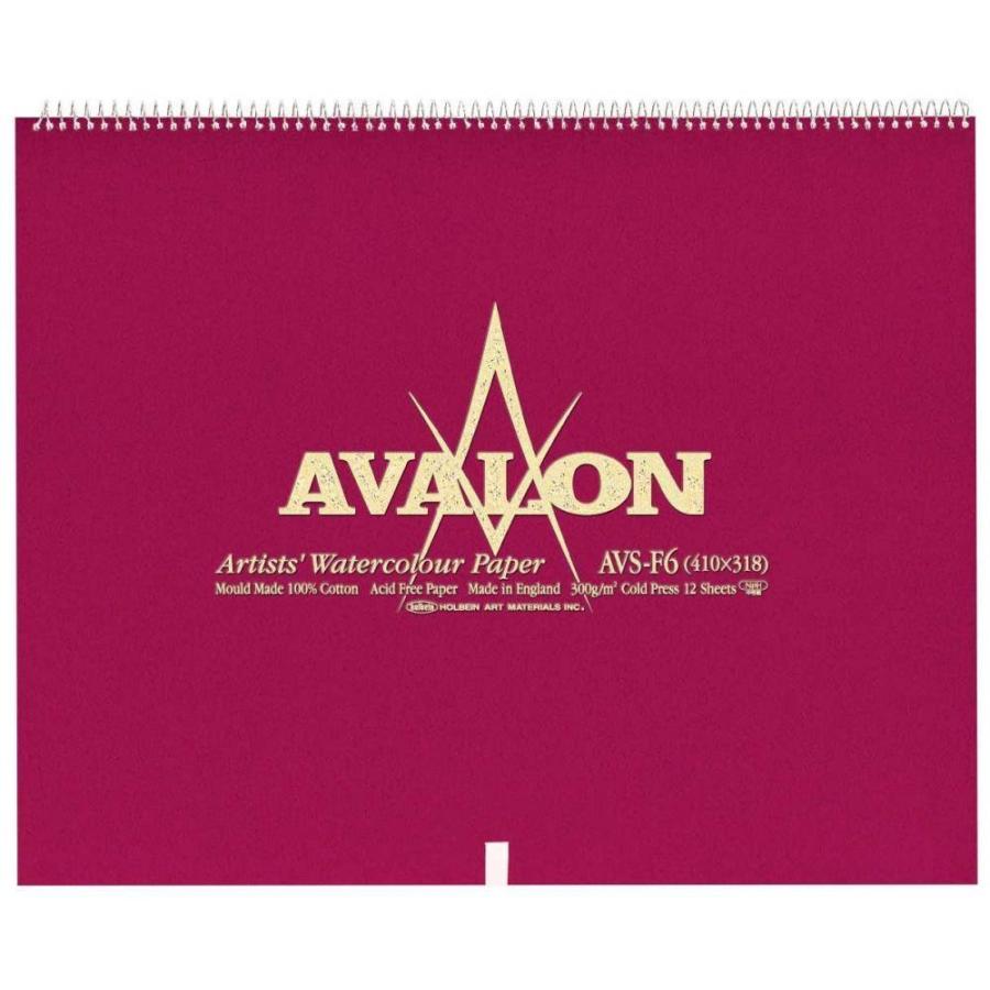 ホルベイン アヴァロン水彩紙 スプリング 300g 中目 AVS-F4 271123 3冊入