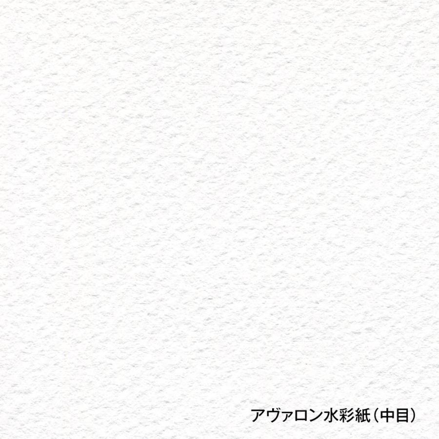 ホルベイン アヴァロン水彩紙 スプリング 300g 中目 AVS-F4 271123 3冊入