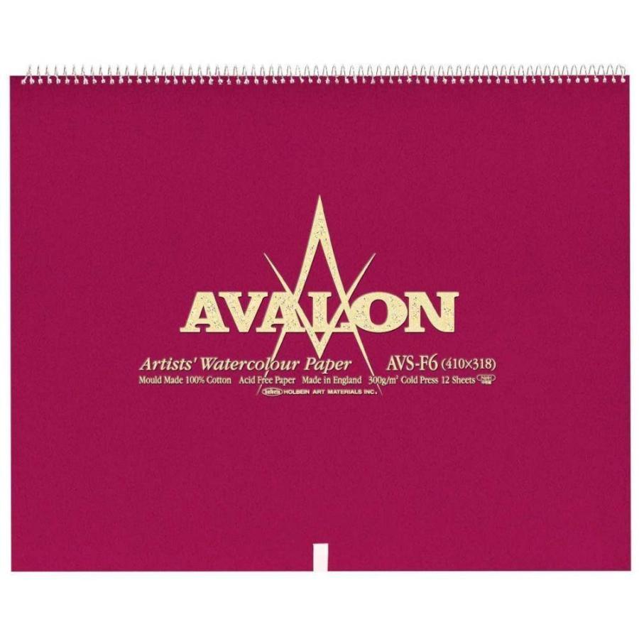 ホルベイン アヴァロン水彩紙 スプリング 300g 中目 AVS-F6 271124 3冊入