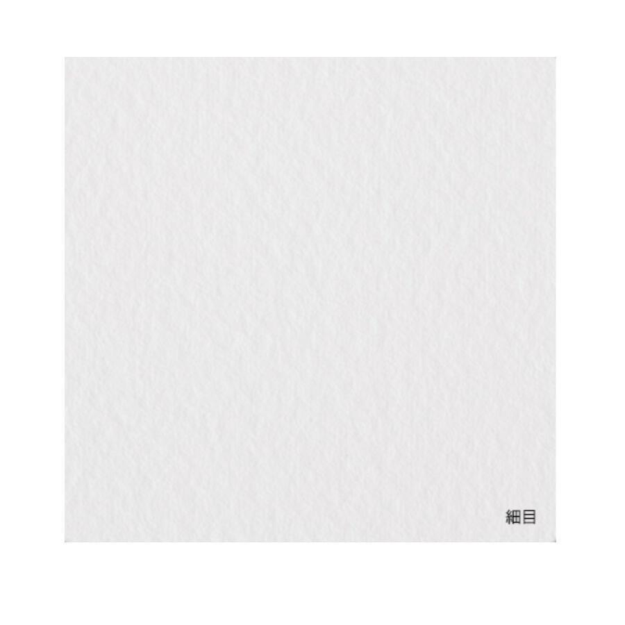 新品　アルシュ水彩紙　F6サイズ　31cmx410cm 300g/m² 新品 アルシュ水彩紙 F6サイズ 31cmx410cm 300g/m² アルシュ水彩紙