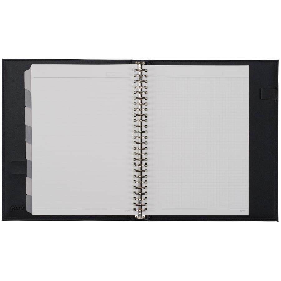 maruman（マルマン） ジウリス Giuris メタルバインダー B5 F509B-05