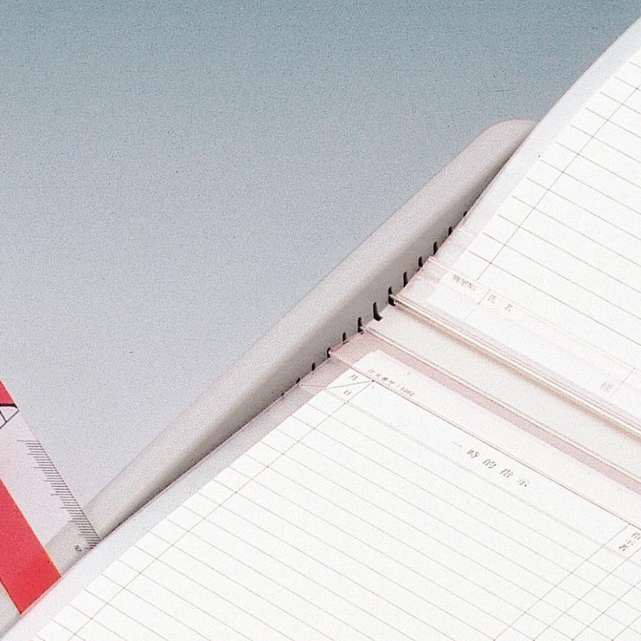 LIHIT LAB.（リヒトラブ） カラーカードインデックス A4 11枚ポケット