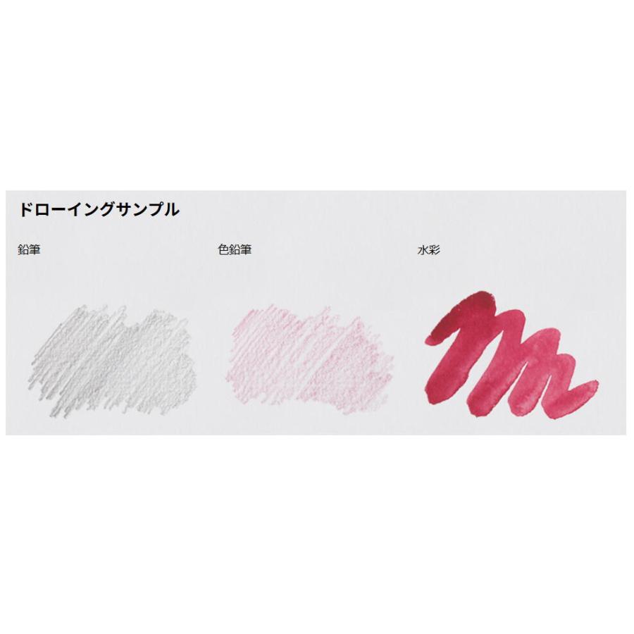 ミューズ 美術用紙 画用紙 白象画学紙 薄口 B2規格 50枚 Cの画像