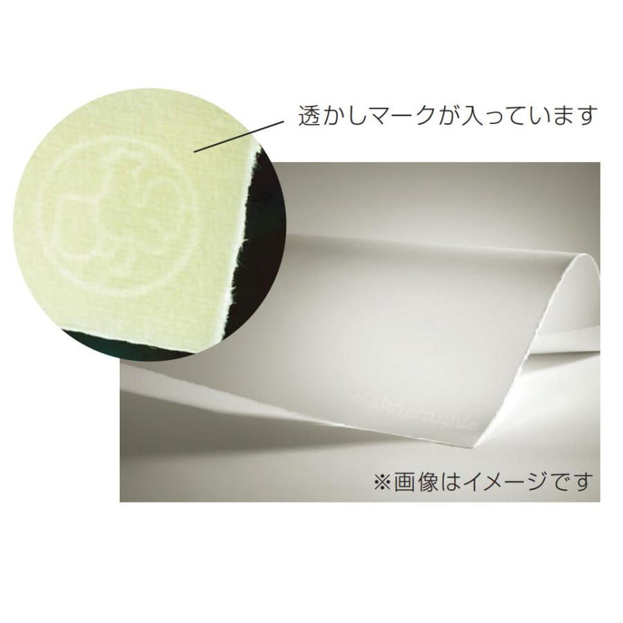 MUSE ミューズ 美術用紙 版画用紙 ハーネミューレ版画紙 ナチュラル