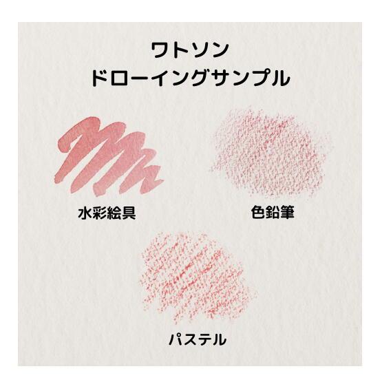 ミューズ 美術用紙 水彩紙 ワトソン 190g 厚口 B2規格 10枚 Cの画像