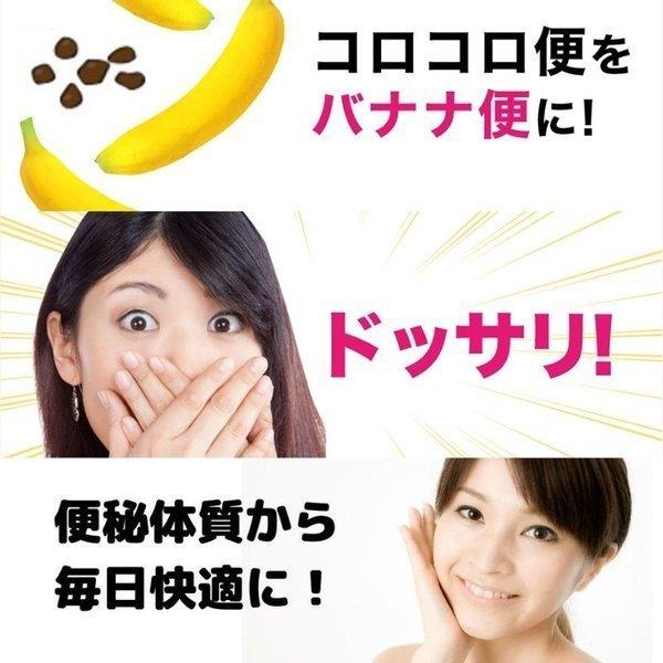 便秘薬 便秘 漢方 市販 宿便 オナラ ニキビ おなら お腹の張り ドッサリズム 15包 指定医薬部外品 メール便送料無料｜wowmedical-store｜13