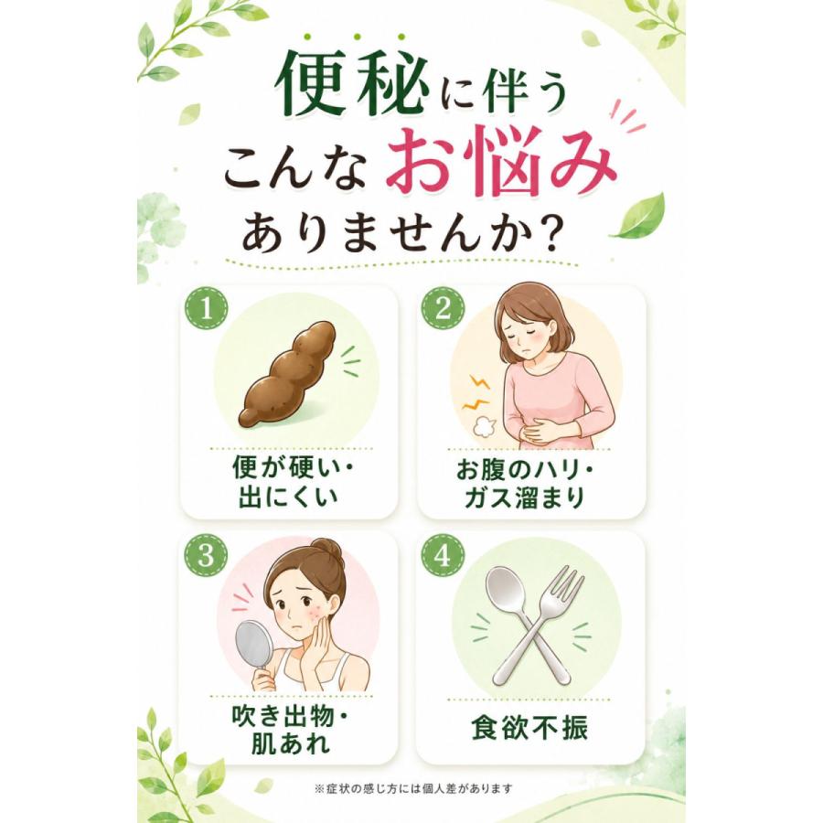 便秘薬 非刺激性 お腹が痛くなりにくい ドッサリズムEX 15包 食物繊維 生薬 タイソウ配合 便秘 コロコロ便 お腹の張り 腹部膨満感 肌荒れ 個包装 指定医薬部外品 | ドッサリズム | 02