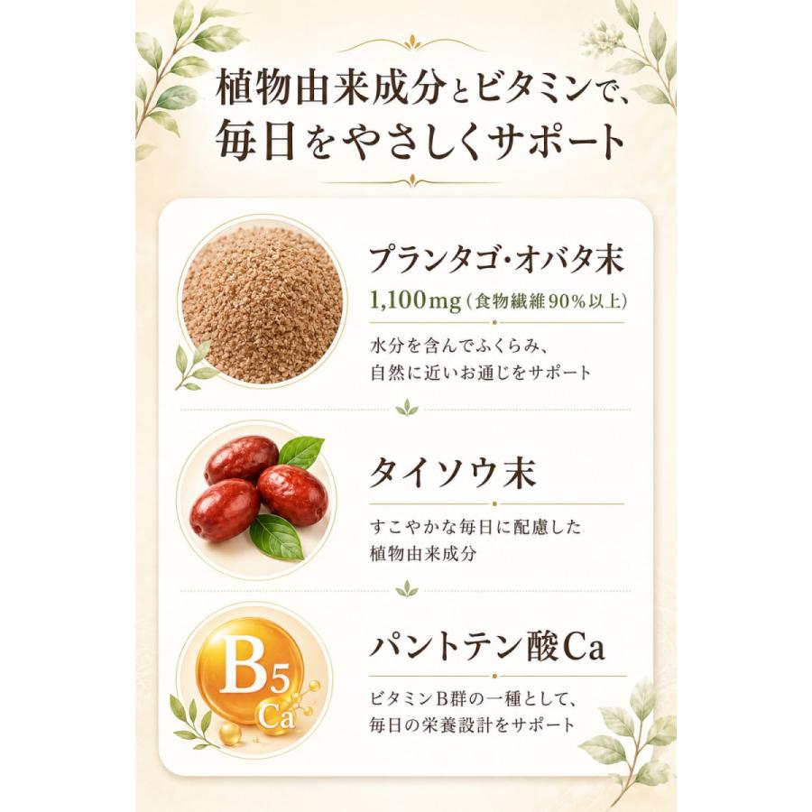 便秘薬 非刺激性 お腹が痛くなりにくい ドッサリズムEX 15包 食物繊維 生薬 タイソウ配合 便秘 コロコロ便 お腹の張り 腹部膨満感 肌荒れ 個包装 指定医薬部外品 | ドッサリズム | 05