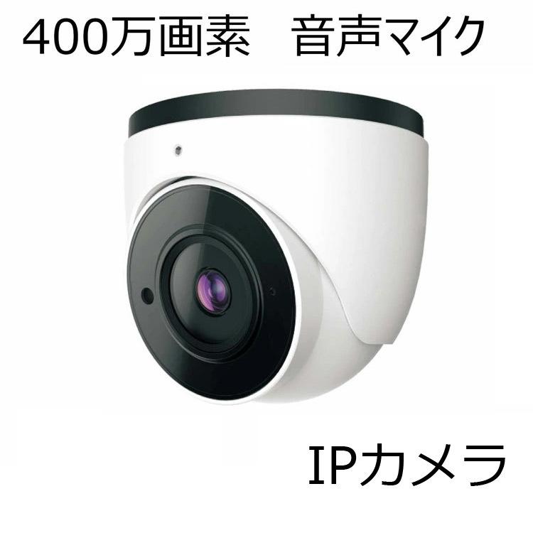 400万画素防水ドーム型IPカメラ　IP-WD11　マザーツール　屋外対応 | マザーツール