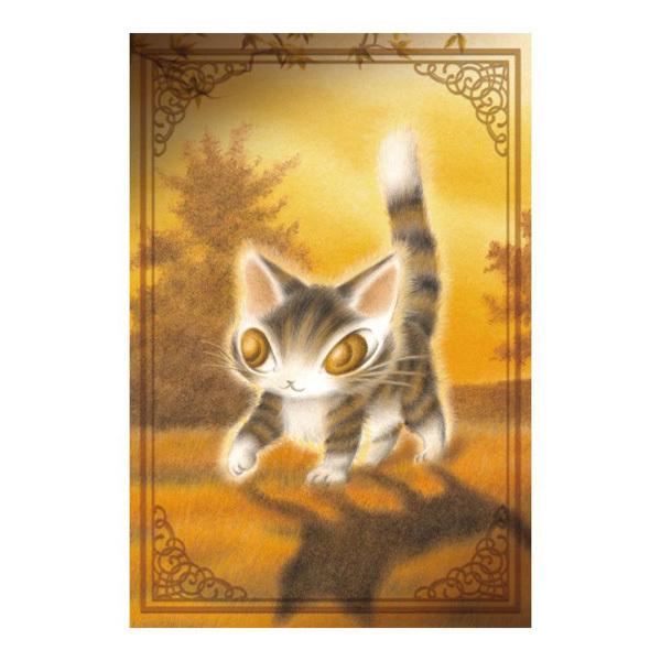 わちふぃーるど（WachiField） ポストカード 光の中 わちふぃーるど