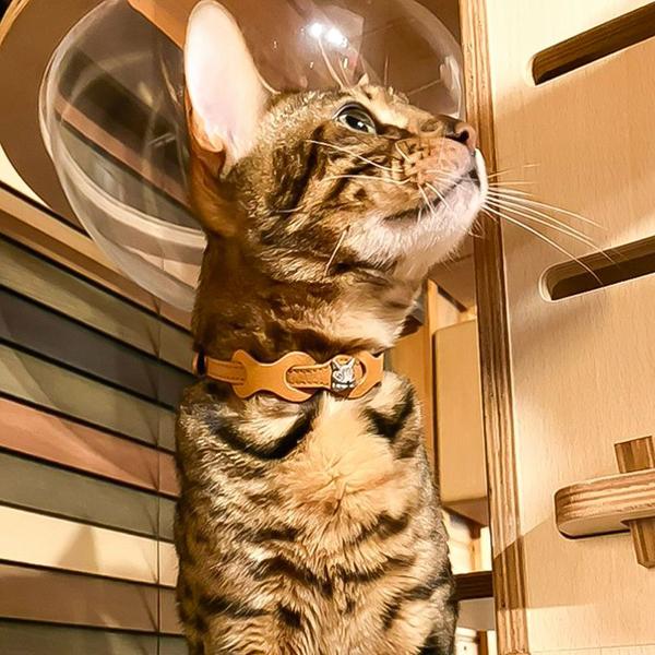 ♡様 リクエスト2点おまとめ 猫 首輪 レザーリング猫首輪 キャメル わちふぃーるどダヤン : わちふぃーるど