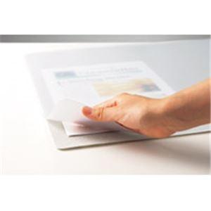 （まとめ）セントラル スカイマット再生エコ RNE-71W 450×600〔×2セット〕