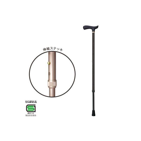 (業務用セット) RQステッキ 伸縮ステッキ／エコノミータイプ RQS-E101BK ブラック〔×5セット〕