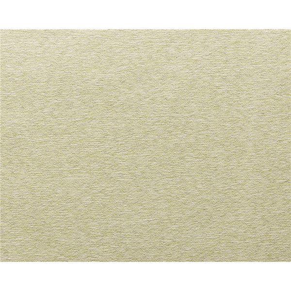 遮光カーテン 幅200cm×丈255cm 1枚 無地 イエローグリーン 3級遮光 洗える