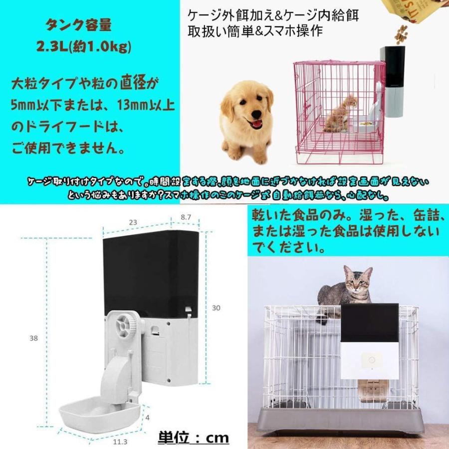 60 以上節約 犬 服 名入れ 春夏用 和柄 暑さ対策 袖なし チワワトイプードル かっこいい 名前入り 冷感クール 鎧大将 よろいたいしょう ノースリーブ Bw Dprd Jatimprov Go Id