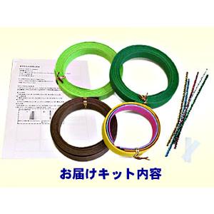 紙バンド手芸トライアルキット　クリスマスツリーの小物入れセット |  | 01