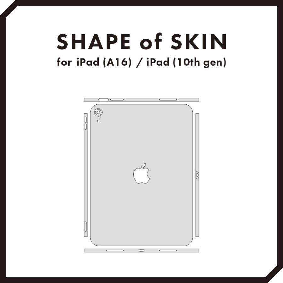 iPad (A16) / iPad第10世代 2025 2022 スキンシール ケース カバー フィルム 背面 wraplus ローズウッド | iPad | 05