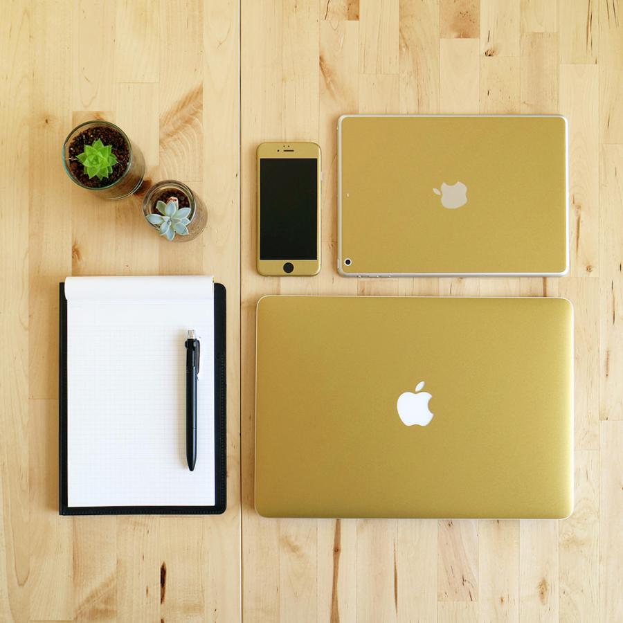 iPad Pro 13インチ M4 2024 スキンシール ケース フィルム 背面 wraplus ゴールドブラッシュメタル | iPad | 01