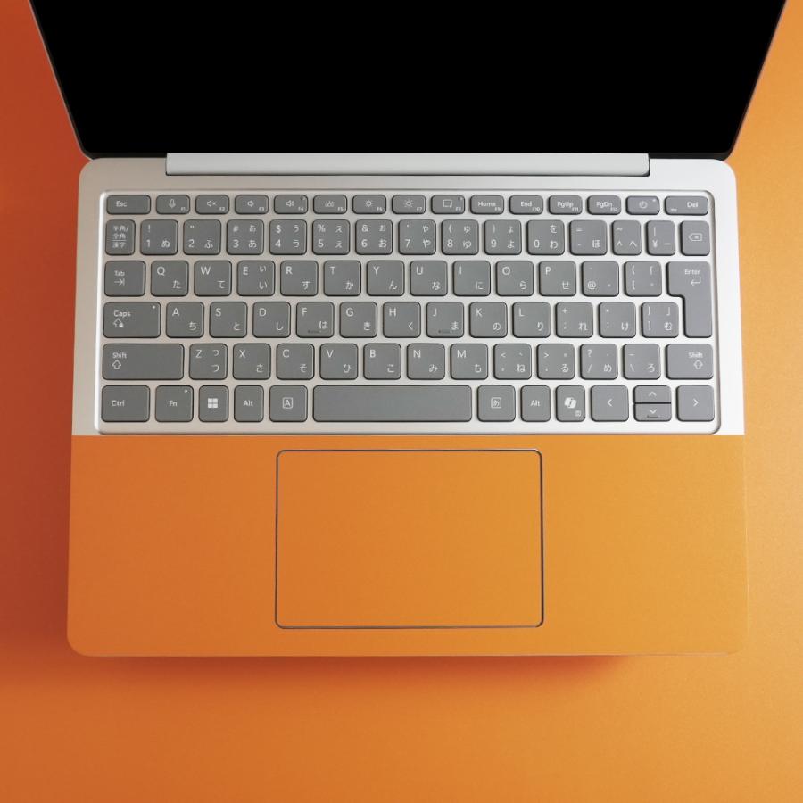 Surface Pro 12インチ スキンシール Surface Pro11 スキンシール Surface Pro10 Pro9 Laptop Go フィルム ケース 背面 保護 wraplus ゴールド | Surface | 19