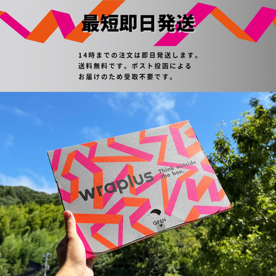 Surface Pro 12インチ スキンシール Surface Pro11 スキンシール Surface Pro10 Pro9 Laptop Go フィルム ケース 背面 保護 wraplus サーモンピンク | Surface | 10