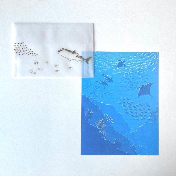 レターセット 包む 封筒が透ける景色のレター 海と魚たち TL065 箔押し