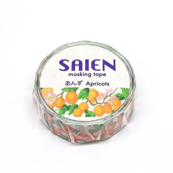 ARomantic メモ  カード  マステ セット imgrc0091909966.jpg