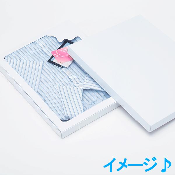 箱 デラックス白無地箱 H-10 肌着用 10枚入 : シモジマラッピング