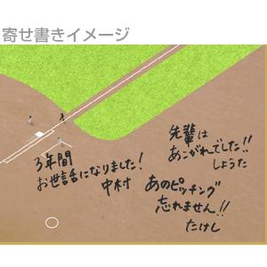 MIDORI（ミドリ） カラー色紙 二つ折り 野球場柄 33166-006 : シモジマ