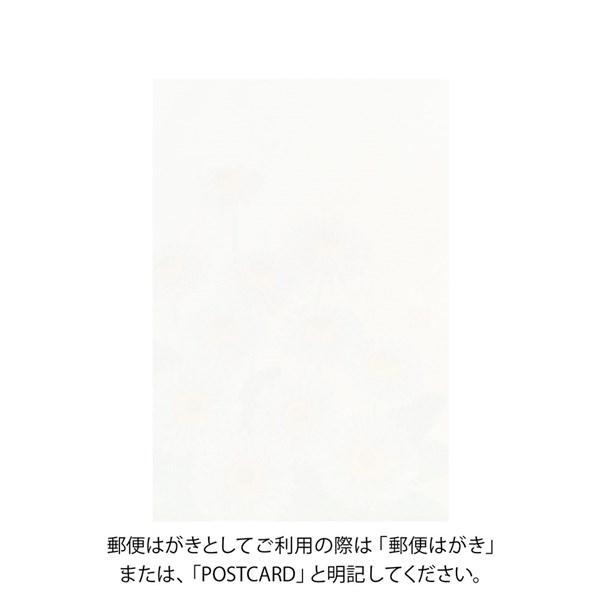春レター ポストカード020 デイジー柄 80020006 midori ミドリ 「紙