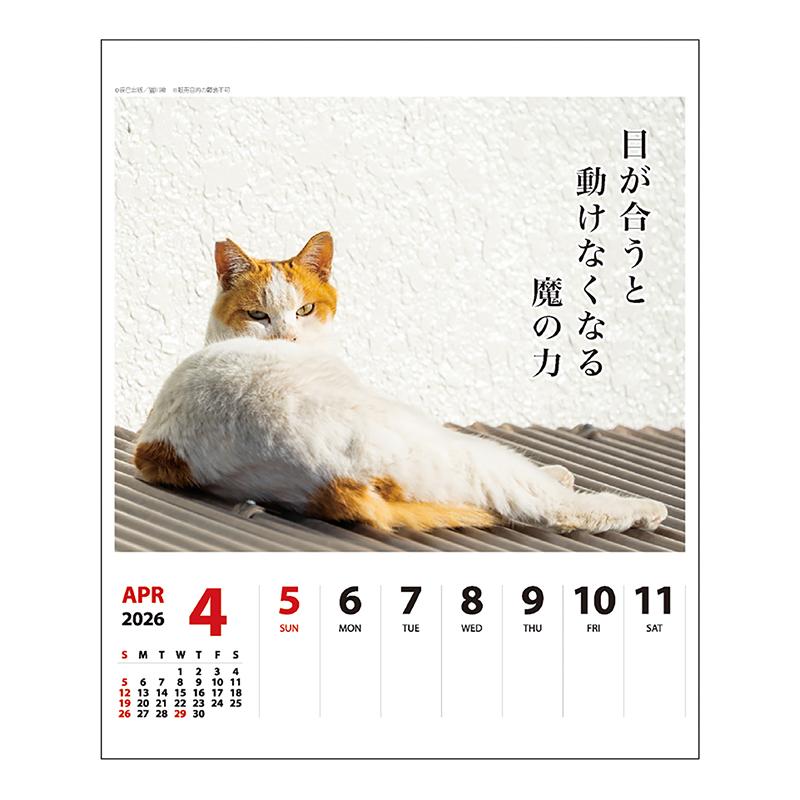 じゃれねこ『2月☆63 Spring』 ENS-MA-108 クレヨンしんちゃん 猫になっちゃったゾ 150ピース