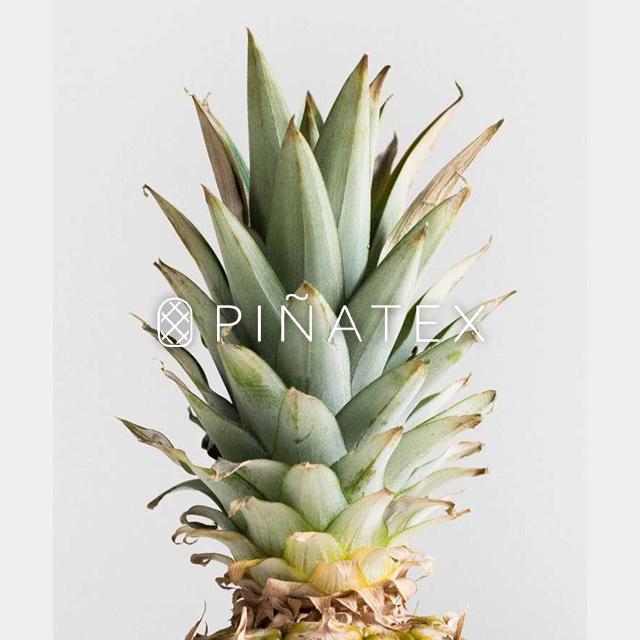 パイナップルから作られたスマートキーケース 車 キーカバー レディース メンズ ユニセックス ピニャテックス コットン エシカル ヴィーガン |  | 02