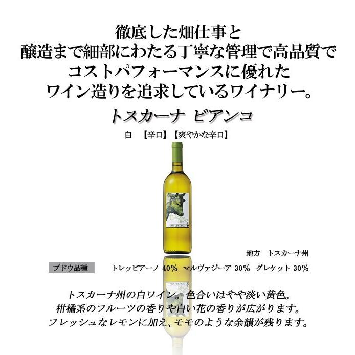 本間チョースケ厳選イタリア政府公認ソムリエと本間チョースケ推薦10本セット 白ワイン 辛口 家飲み Epa 金賞ワイン多数