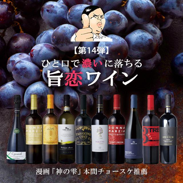 ボリュームたっぷり旨濃ワインセット イタリア政府公認ソムリエとイタリアワインの怪人のタッグ ワインセット