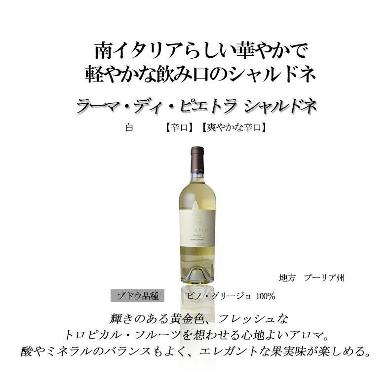 南イタリアワイン10本セット 復刻【第7弾】イタリア政府公認ソムリエ
