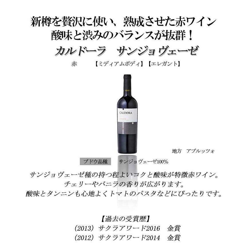 金賞ワイン多数 赤ワイン セット イタリアワインセット 赤